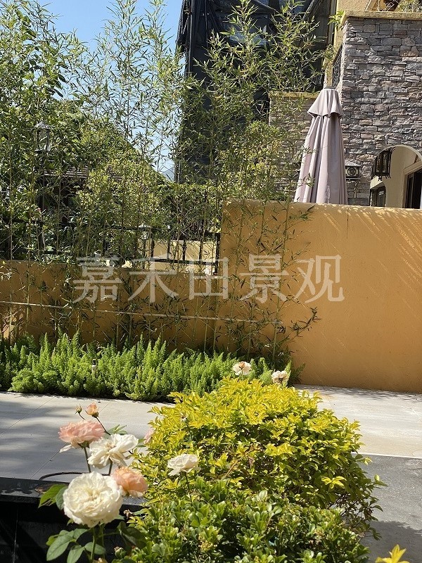 別墅花園的養(yǎng)護技巧包括哪些方面？