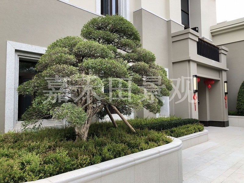 如何選擇專(zhuān)業(yè)的景觀設(shè)計(jì)師或施工隊(duì)伍？